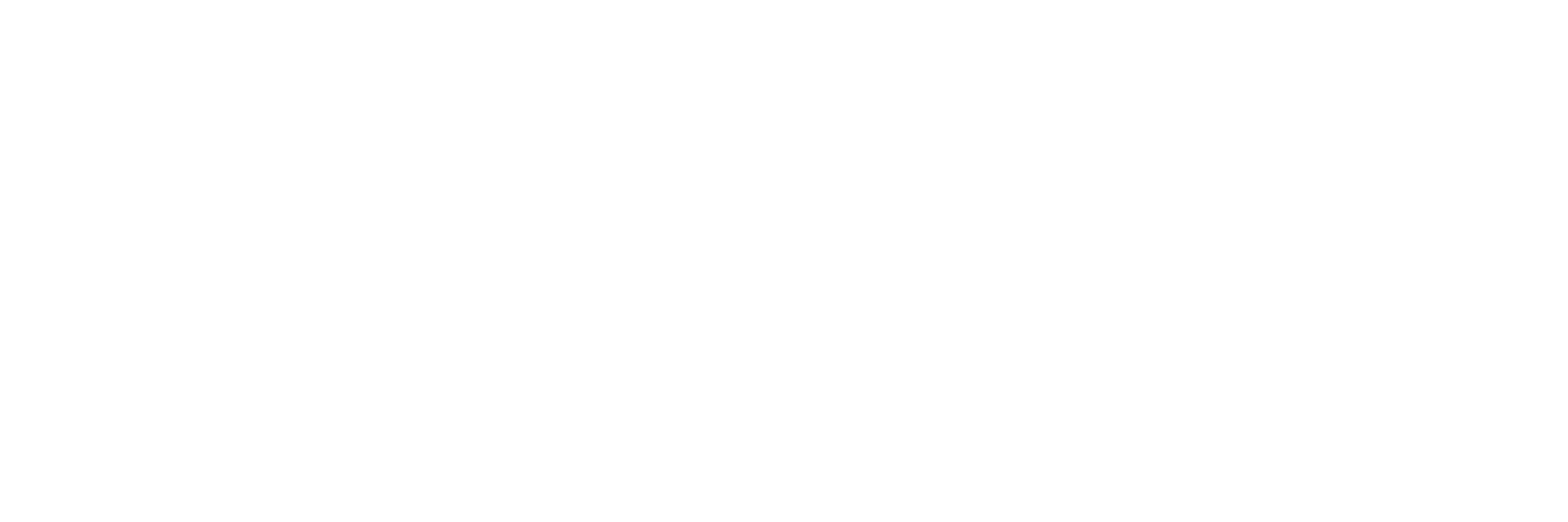 Tradie Lady Hire CMS logo